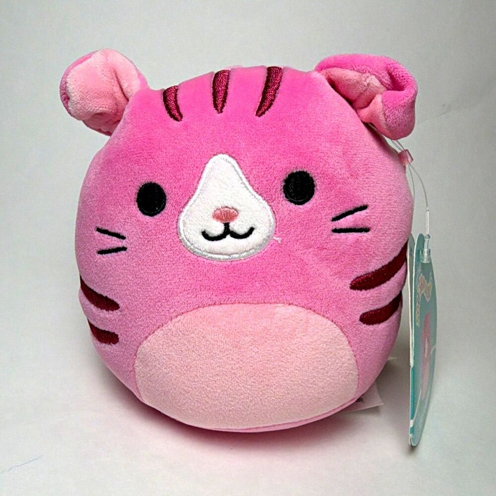 Squishmallows Geraldine Pink Cat Plush Stuffed Animal w/ Tags 2022 5 inches